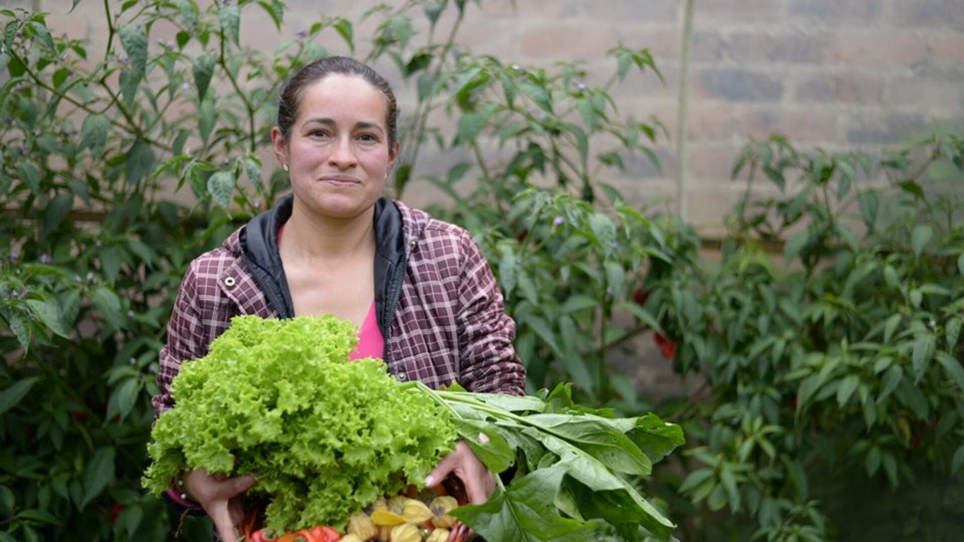 Sus aguas dan vida y fertilidad a las tierras que la rodean. Los cultivos de papa de año, papa criolla, habas, arvejas y cebolla abundan en la zona, donde también se practica la ganadería y la piscicultura.