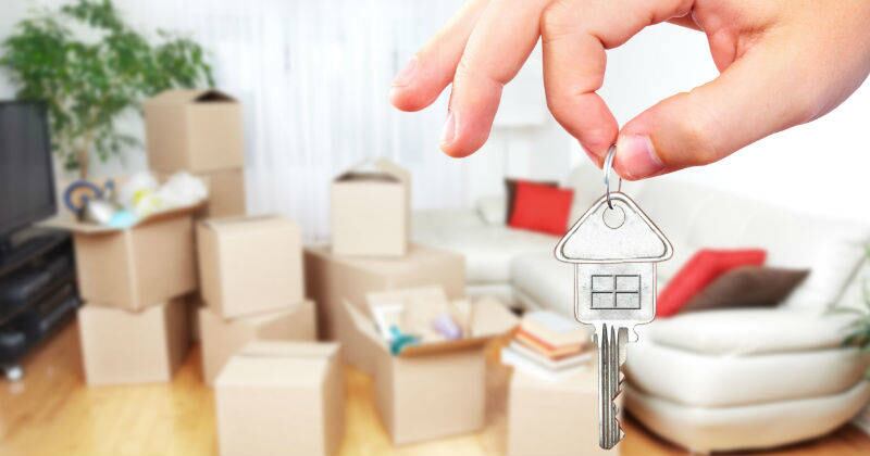 02. Leasing habitacional: durante el primer mes de cada año se debe remitir la siguiente información: el comportamiento histórico del contrato indicando cómo se aplicaron los cánones, el saldo por amortizar, los valores por costos financieros, seguros y otros conceptos y en contratos pactados en UVR las cifras deben reflejarse en UVR y en pesos.