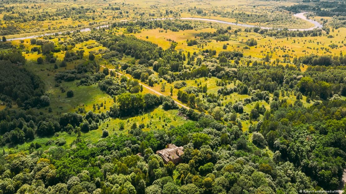 Una mansión abandonada en la zona de reasentamiento de Chernóbil, donde la ausencia humana ha resultado ser el mayor motor de recuperación de la fauna salvaje.