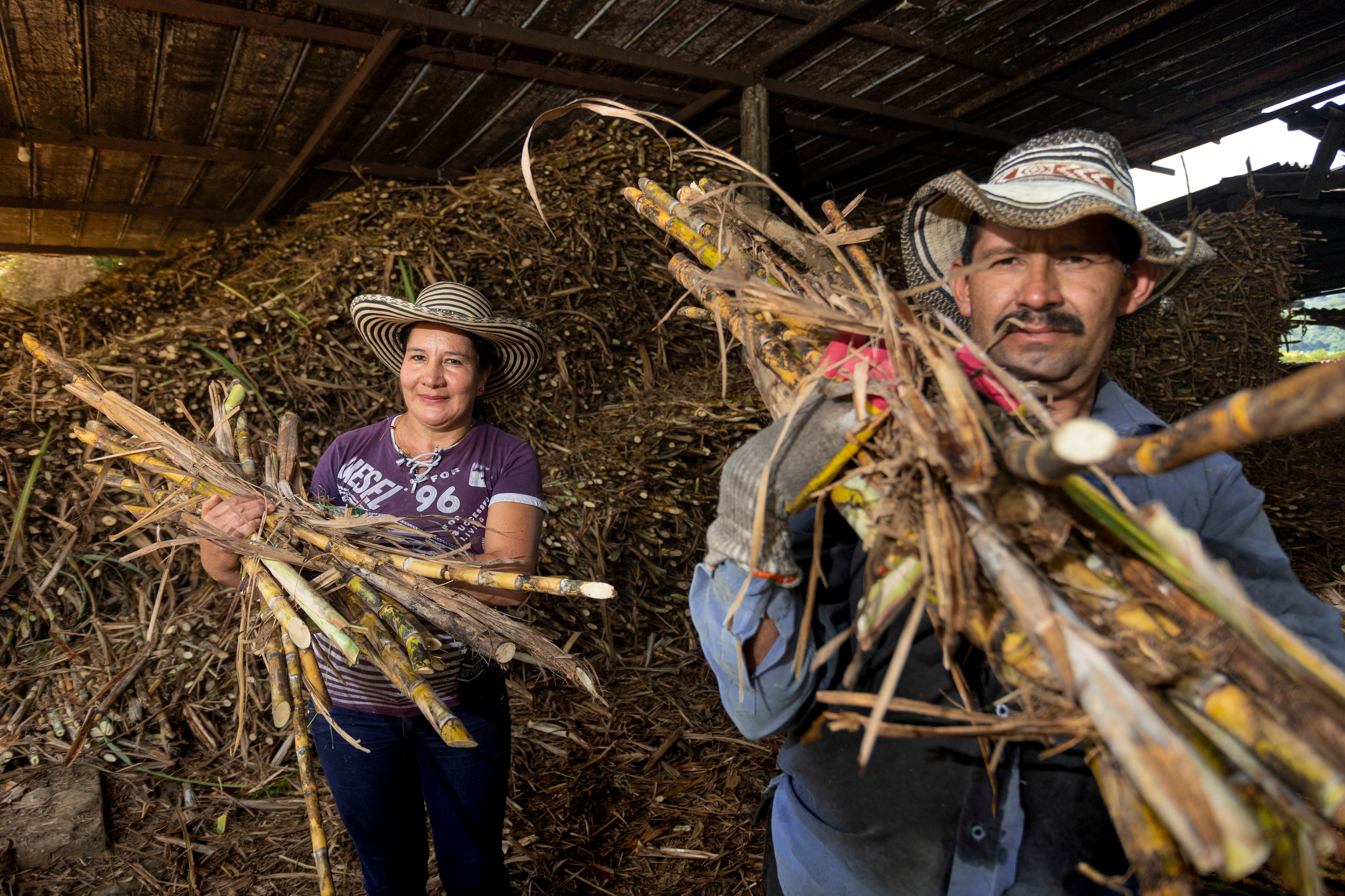 Así se mueve la panela en Colombia.