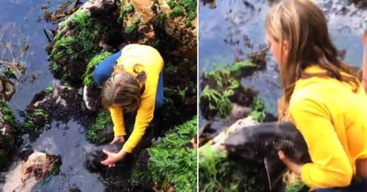 Billie Rea, niña de 11 años que salvó a un tiburón atrapado entre unas rocas en Tasmania (Australia).