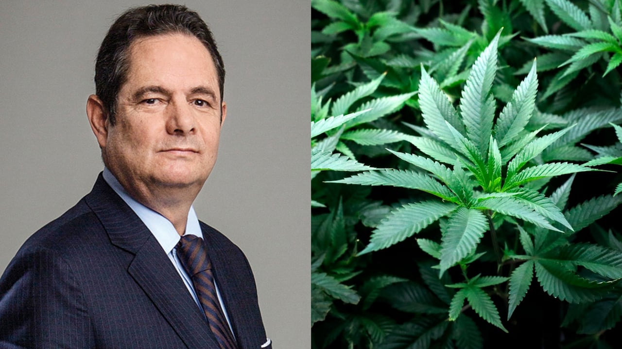 Germán Vargas Lleras habló sobre el hundimiento del proyecto de legalización del cannabis.