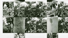 José Alejandro Restrepo, de la serie Musa paradisiaca, 1996. Foto: cortesía de la Colección Proyecto Bachué.