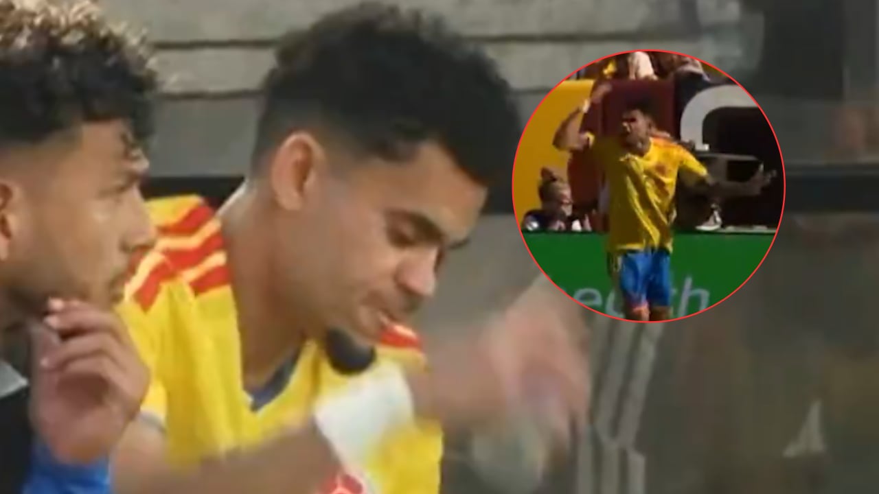 Luis Díaz lanzó botella al piso y alegó fuertemente en el campo en pleno amistoso de Selección Colombia.
