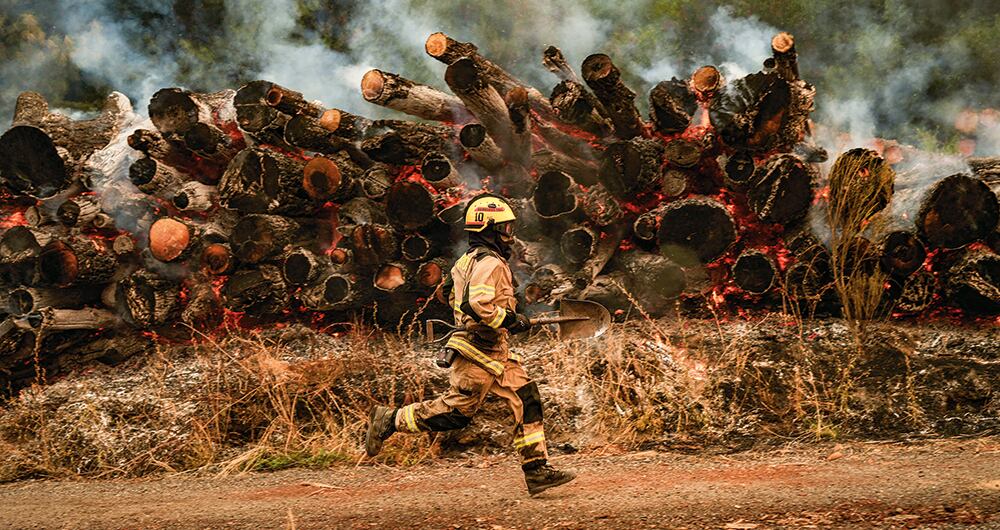 Una ola de incendios forestales tienen a Chile al borde de la catástrofe.