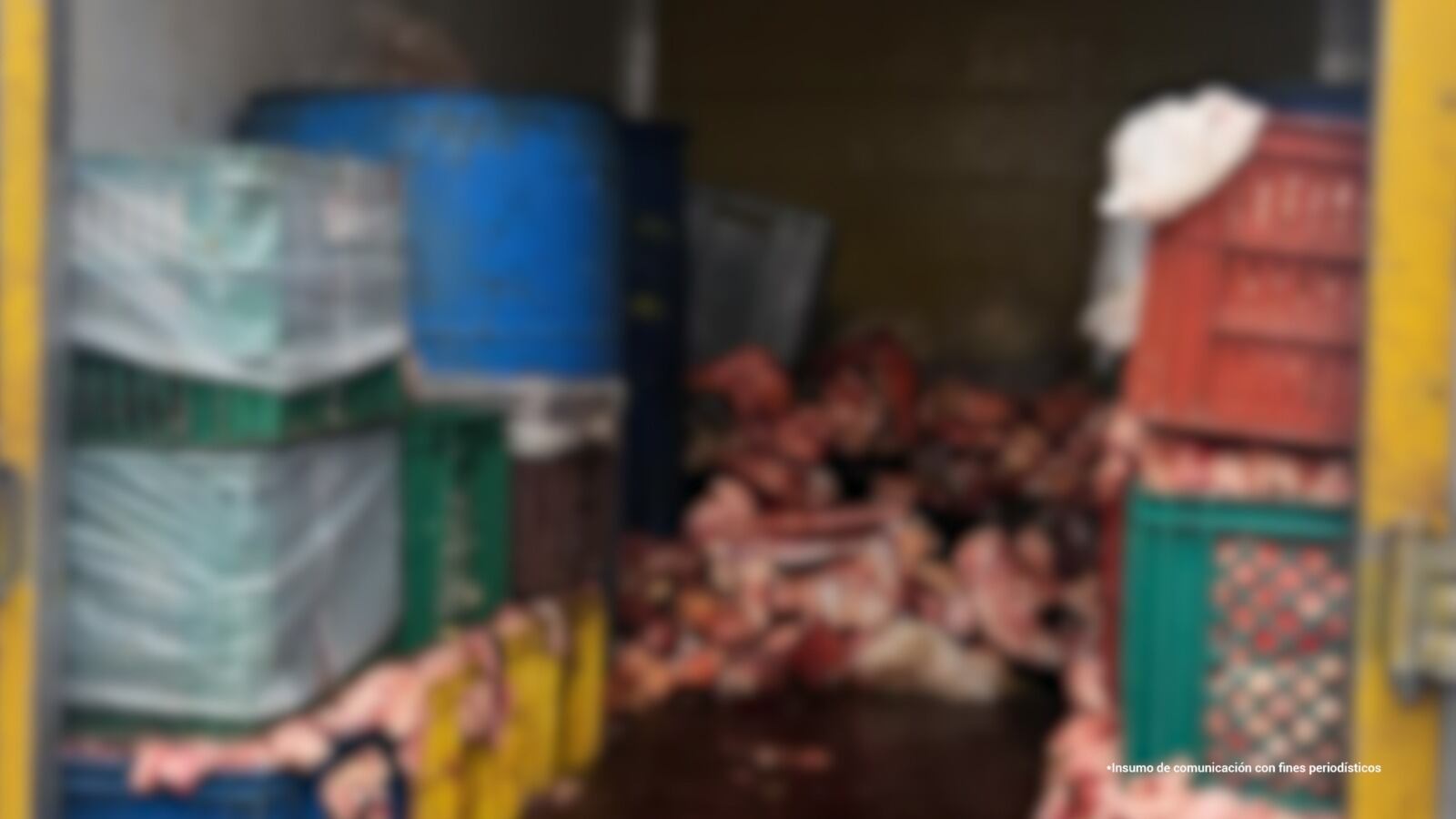 La Fiscalía encontró un matadero clandestino en Bogotá