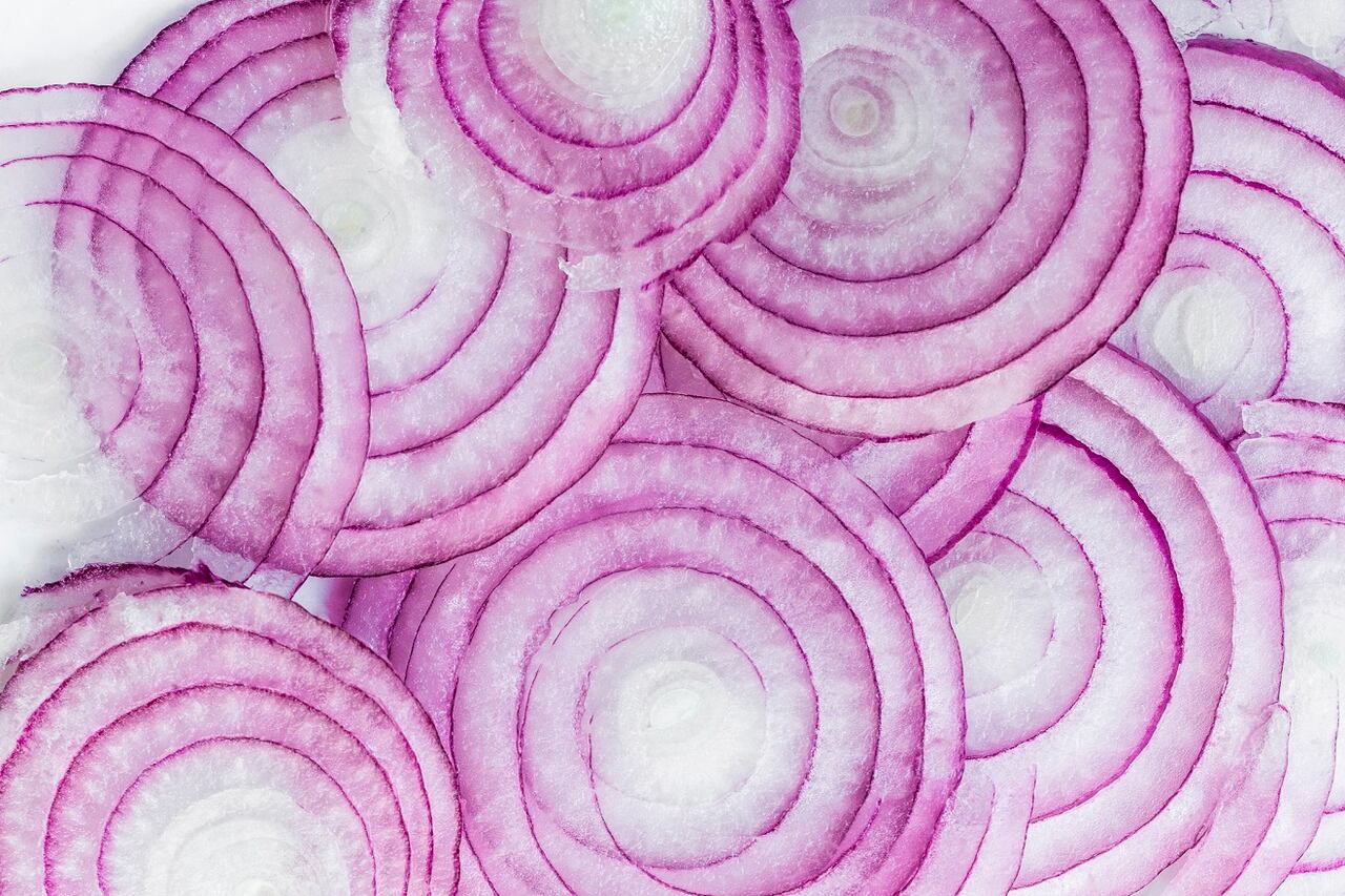 cebolla
