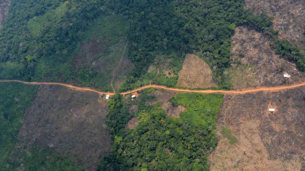 La deforestación en Guaviare no para. La vía entre Miraflores y Calamar crece y devora más selva. Foto: Rodrigo Botero.