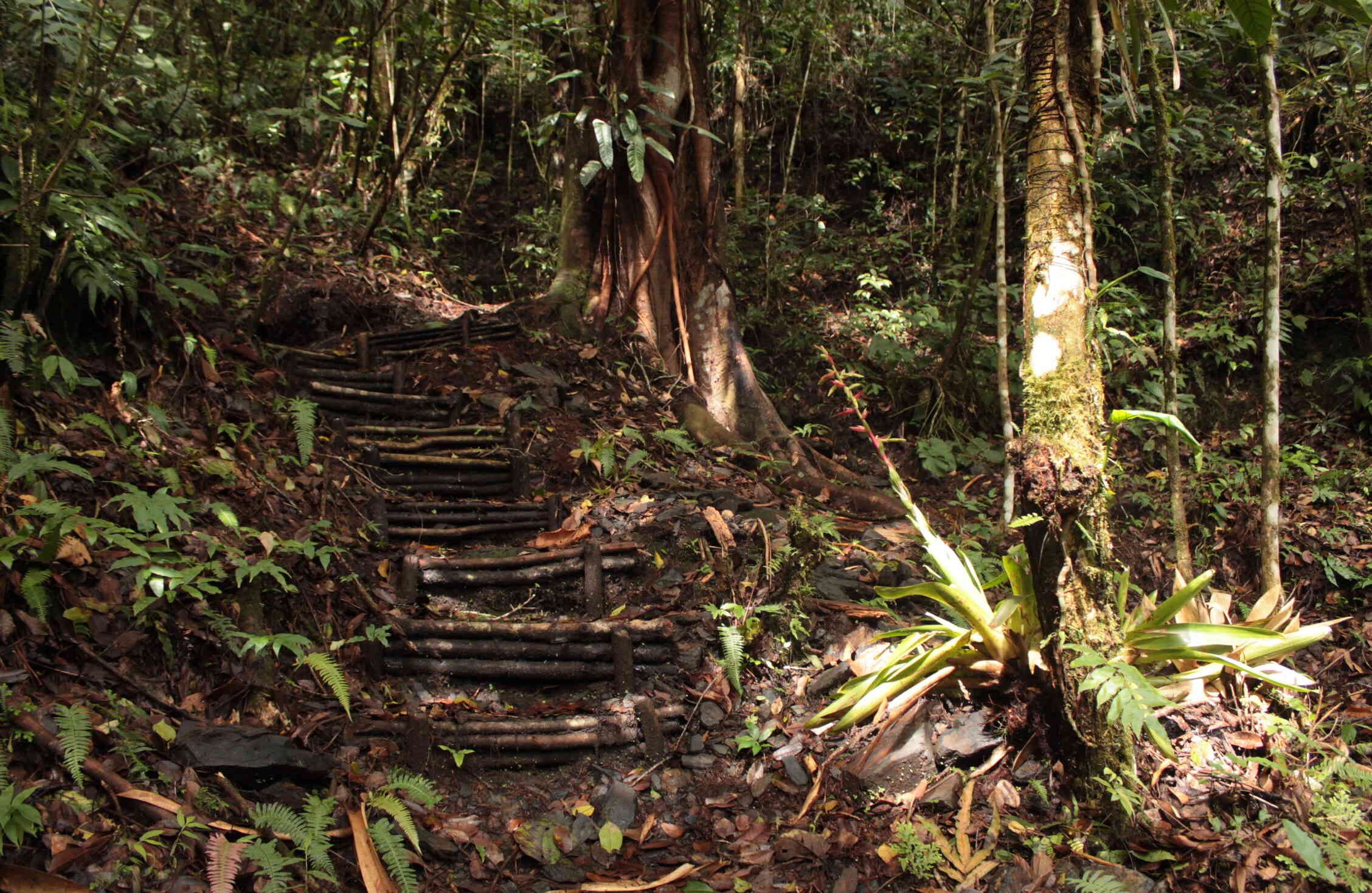 Sendero La Esmeralda junto a la Represa del Chivor. Foto: Laura Muñoz / Revista Semana