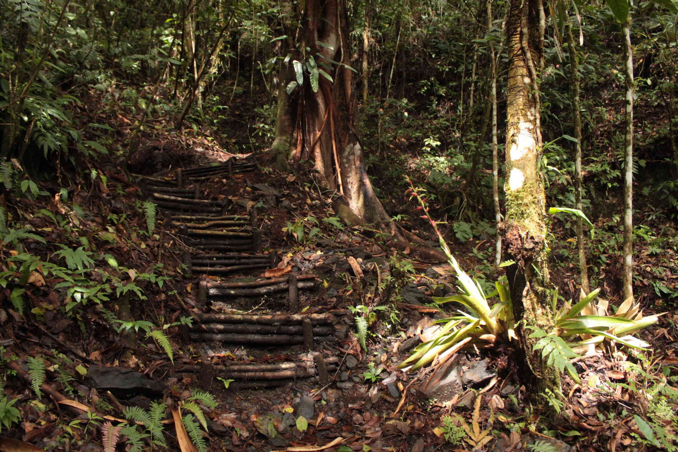Sendero La Esmeralda junto a la Represa del Chivor. Foto: Laura Muñoz / Revista Semana