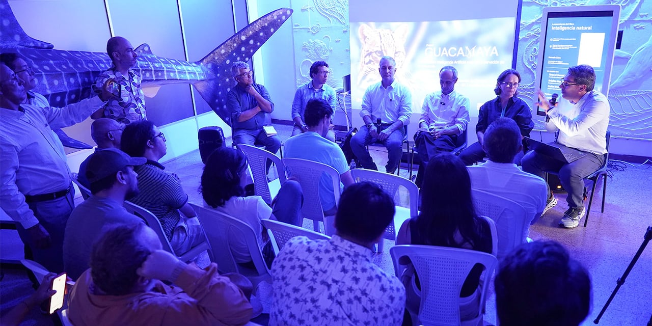 El proyecto Guacamaya participó en la COP16, el evento de biodiversidad más importante del mundo.