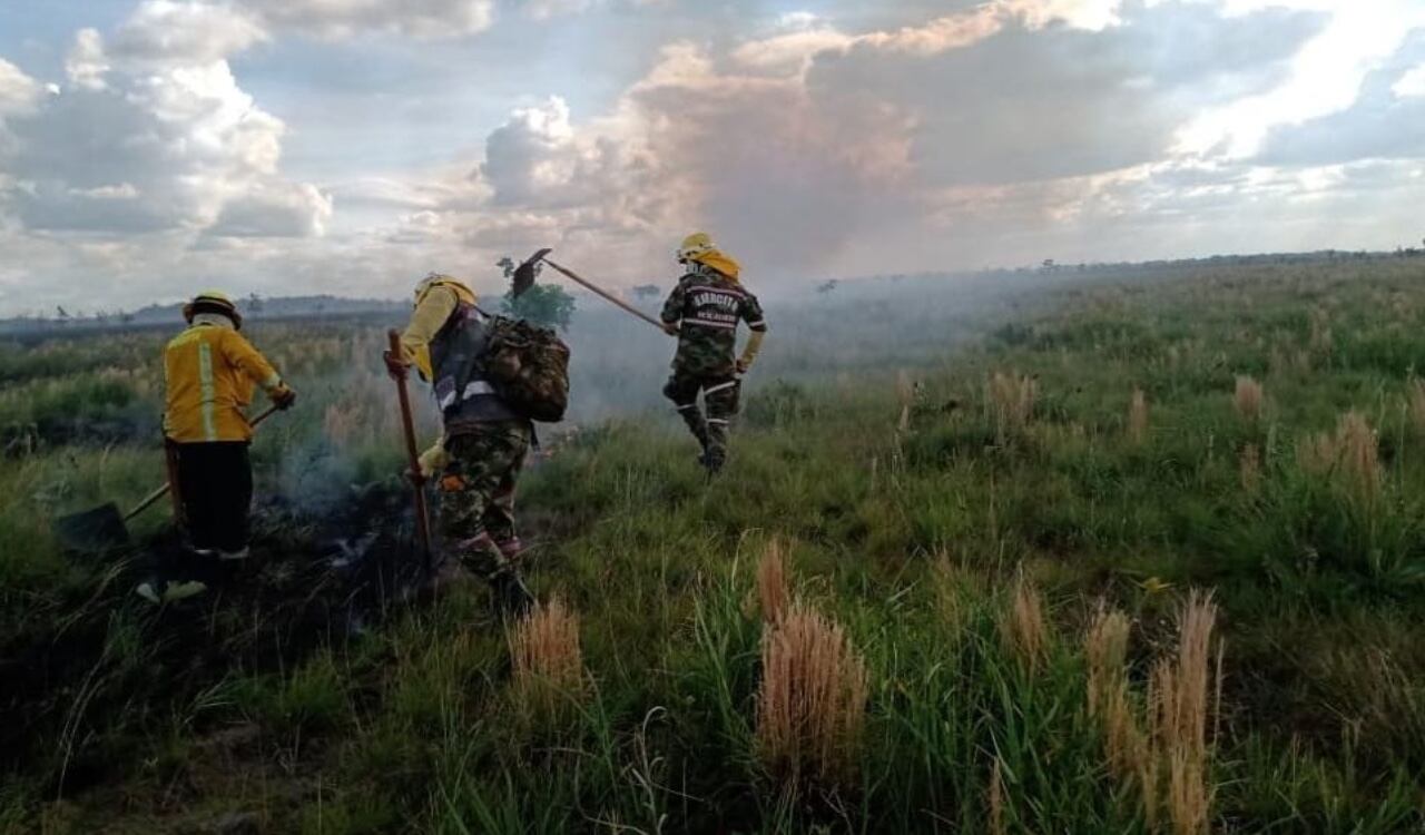 El Parque Nacional El Tuparro se ha visto afectado por las altas temperaturas que se registran en la zona