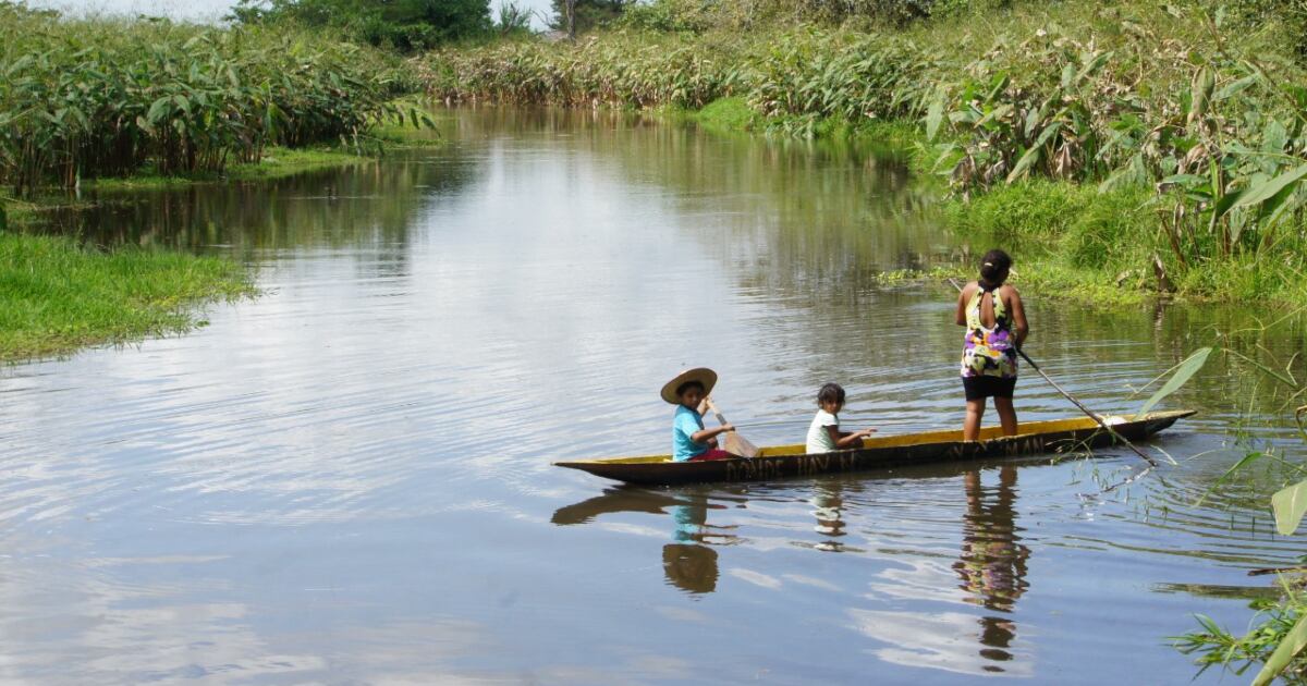 Humedales de la región de La Mojana.