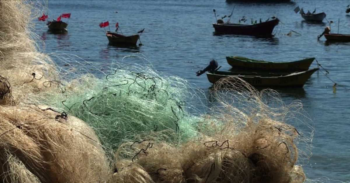 Las redes fantasma de pesca ponen en riesgo la seguridad alimentaria de millones de personas. 