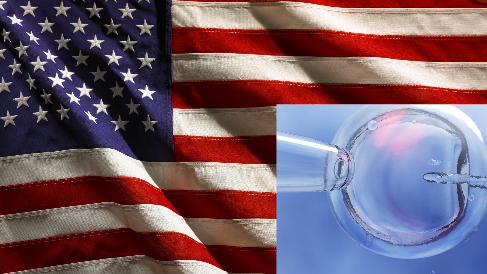 Orden ejecutiva sobre asequibilidad y disponibilidad de la fecundación in vitro