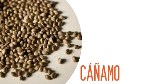 Semillas de cáñamo