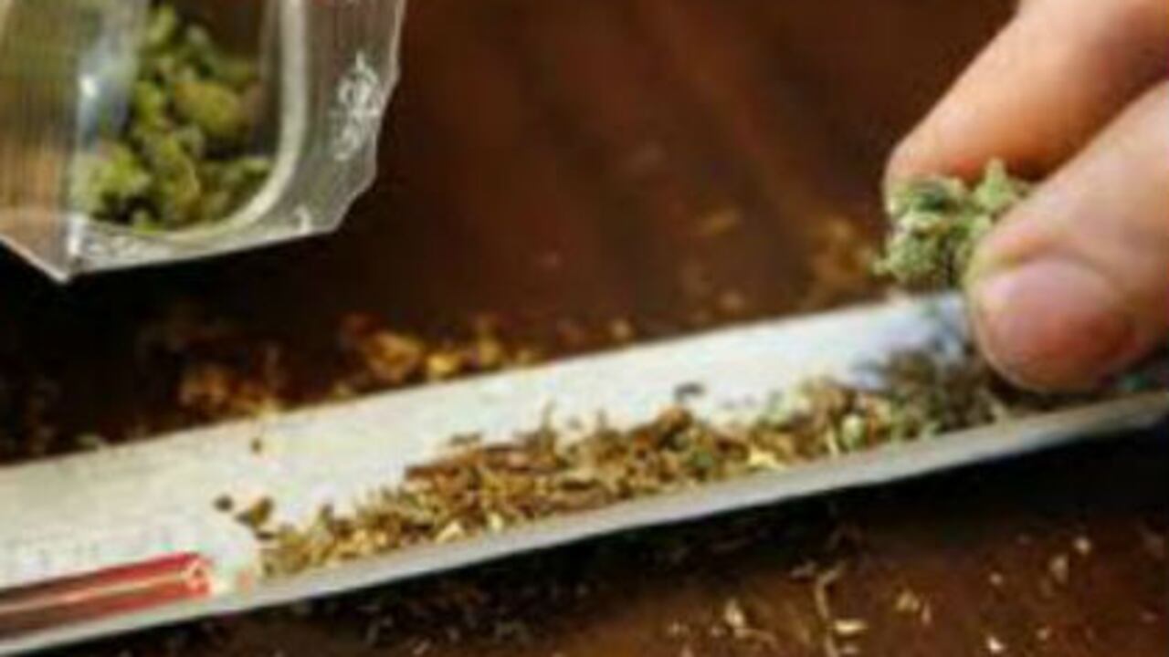 La marihuana es la sustancia ilegal de mayor consumo en Bogotá según un estudio de la Alcaldía.