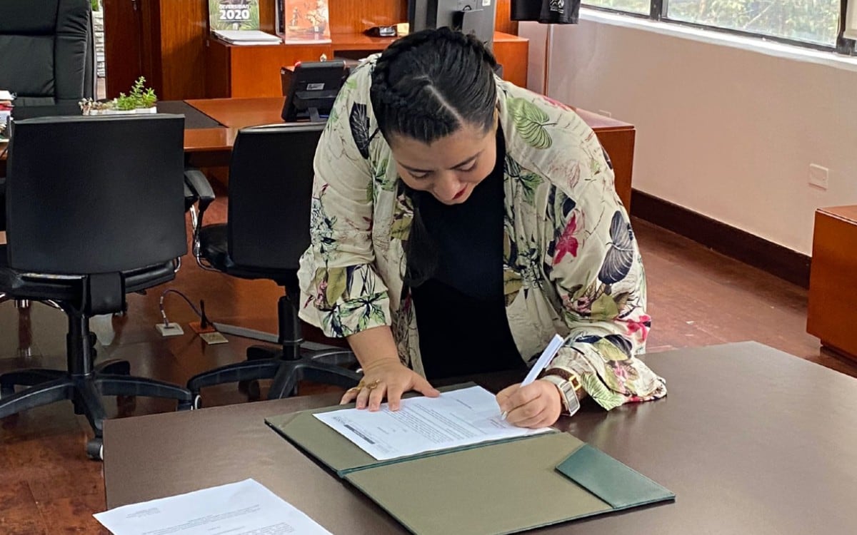 Según señaló el Ministerio de Ambiente, la funcionaria ha liderado diferentes proyectos intersectoriales en el área ambiental, articulando, entre otros, sociedad civil, sectores productivos e instancias gubernamentales con redes de conocimiento de alcance internacional.