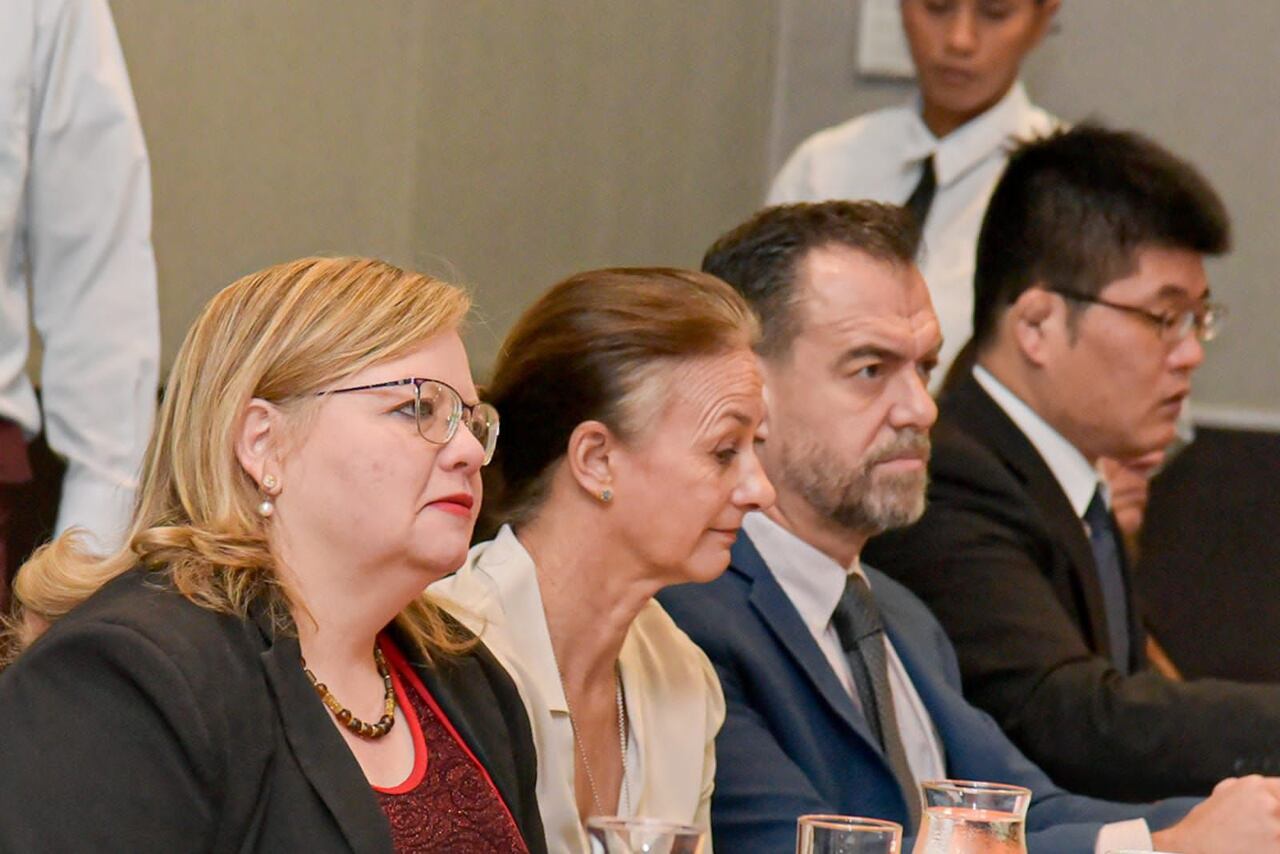 Astrid Cáceres, directora general del ICBF.