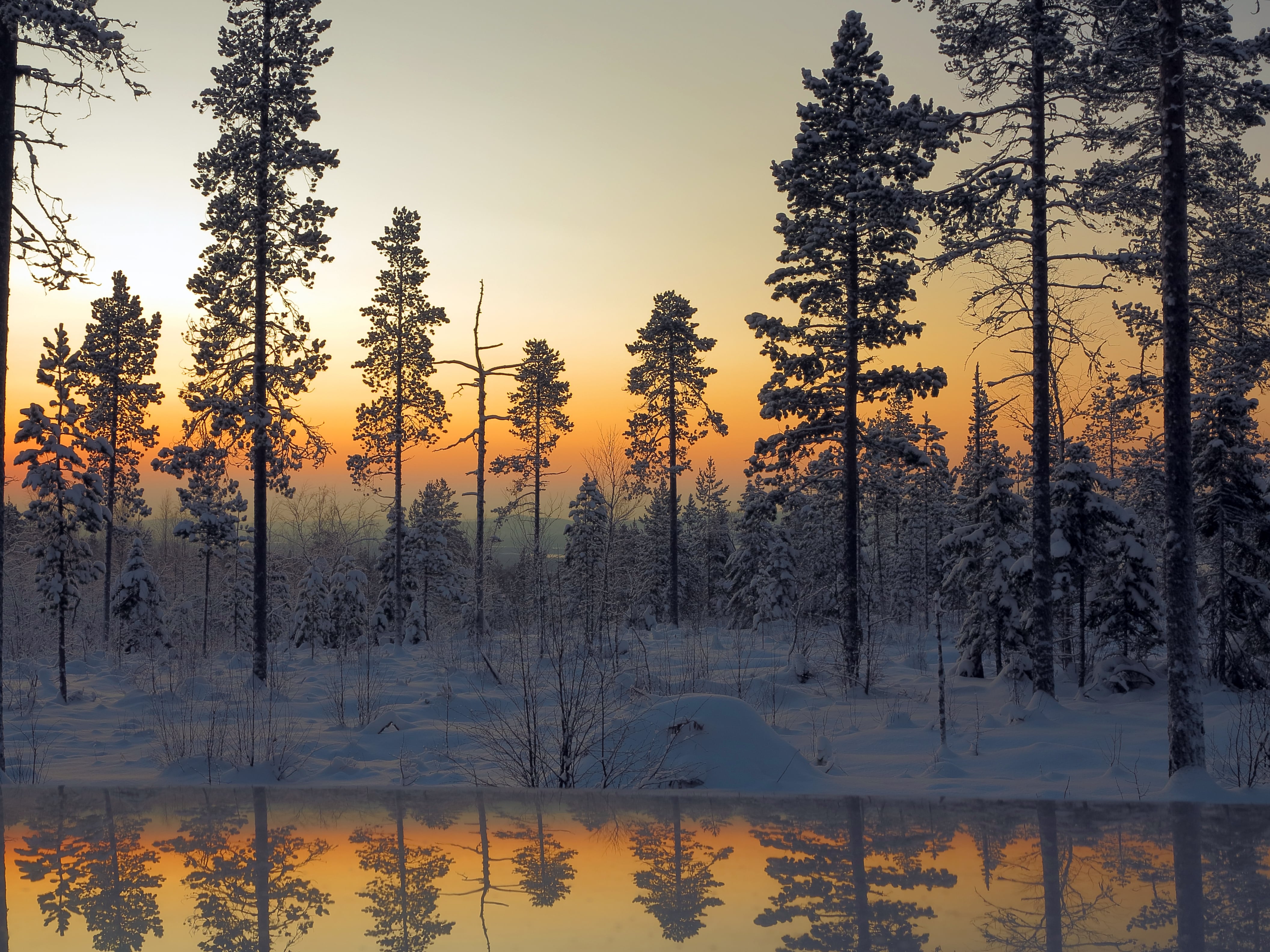 Solsticio de invierno