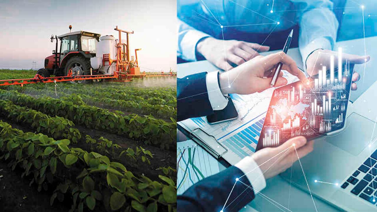 Los agronegocios y el sector tecnológico no han parado durante toda la pandemia, lo cual se evidencia en el crecimiento de su actividad.