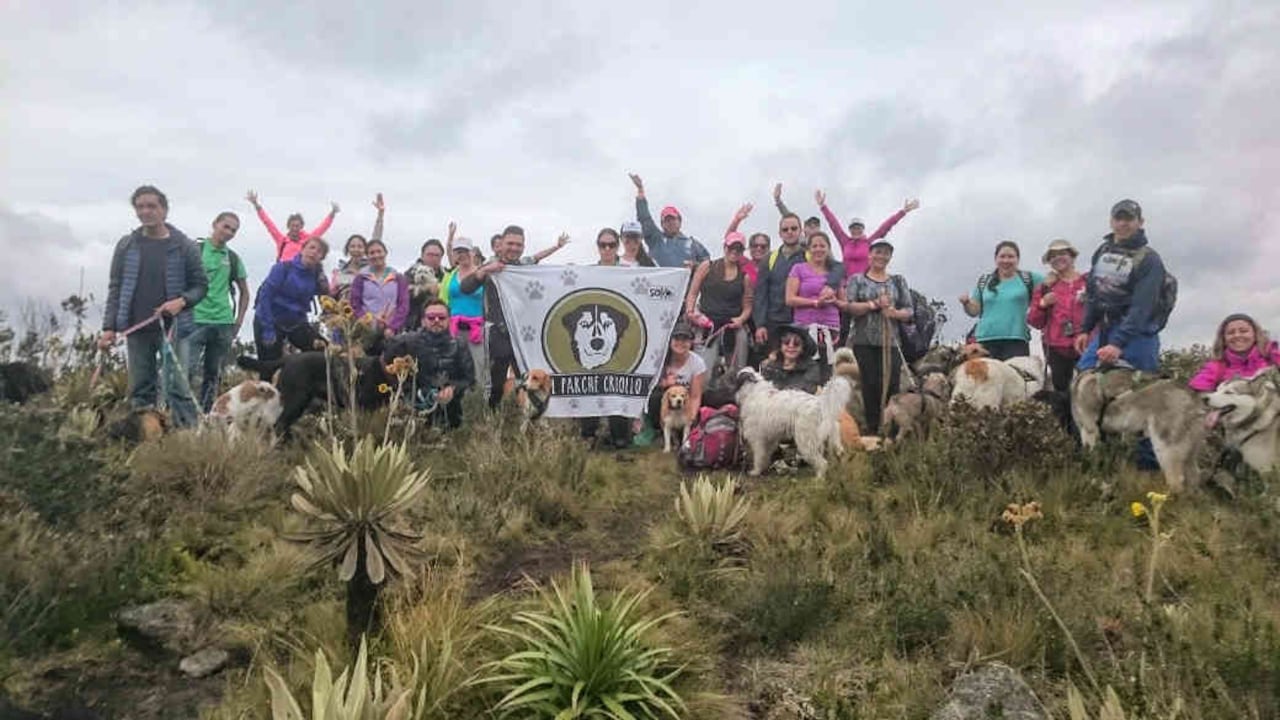 El Parche Criollo ha organizado caminatas para amos y mascotas a Suesca, Guatavita, Villavicencio y hasta Isla Fuerte, entre otros destinos.