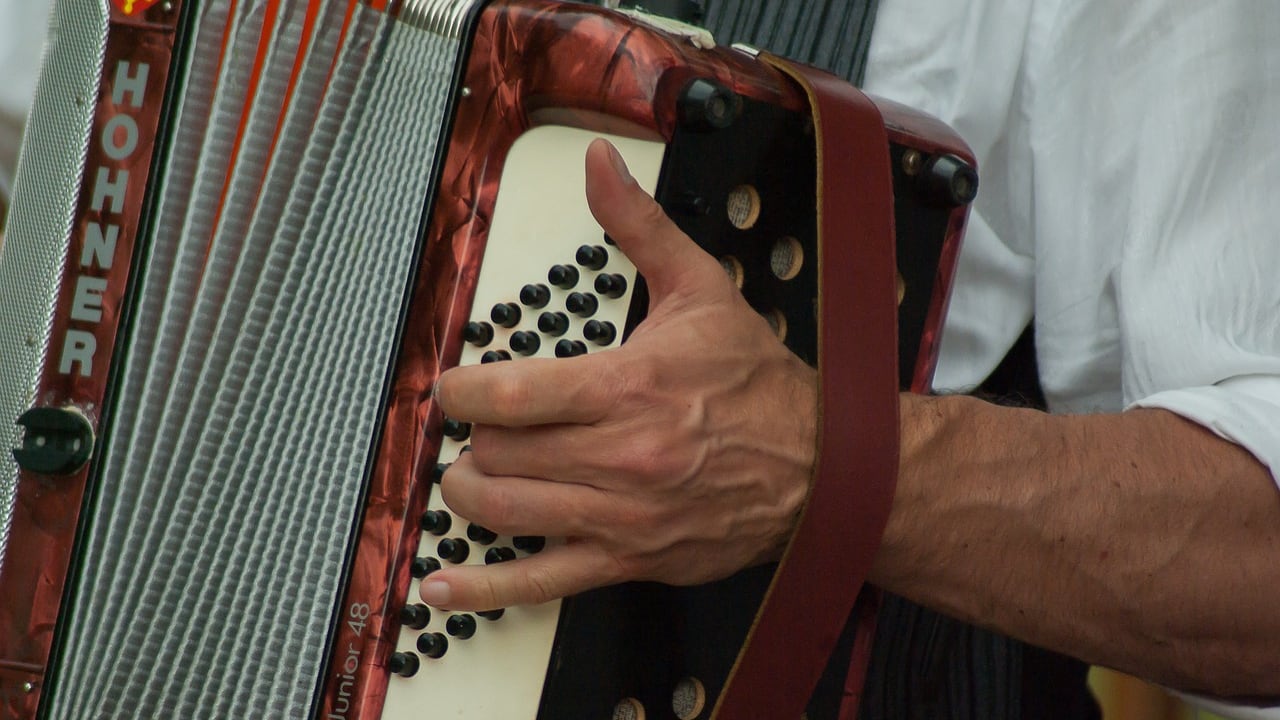 Acordeón imagen de referencia