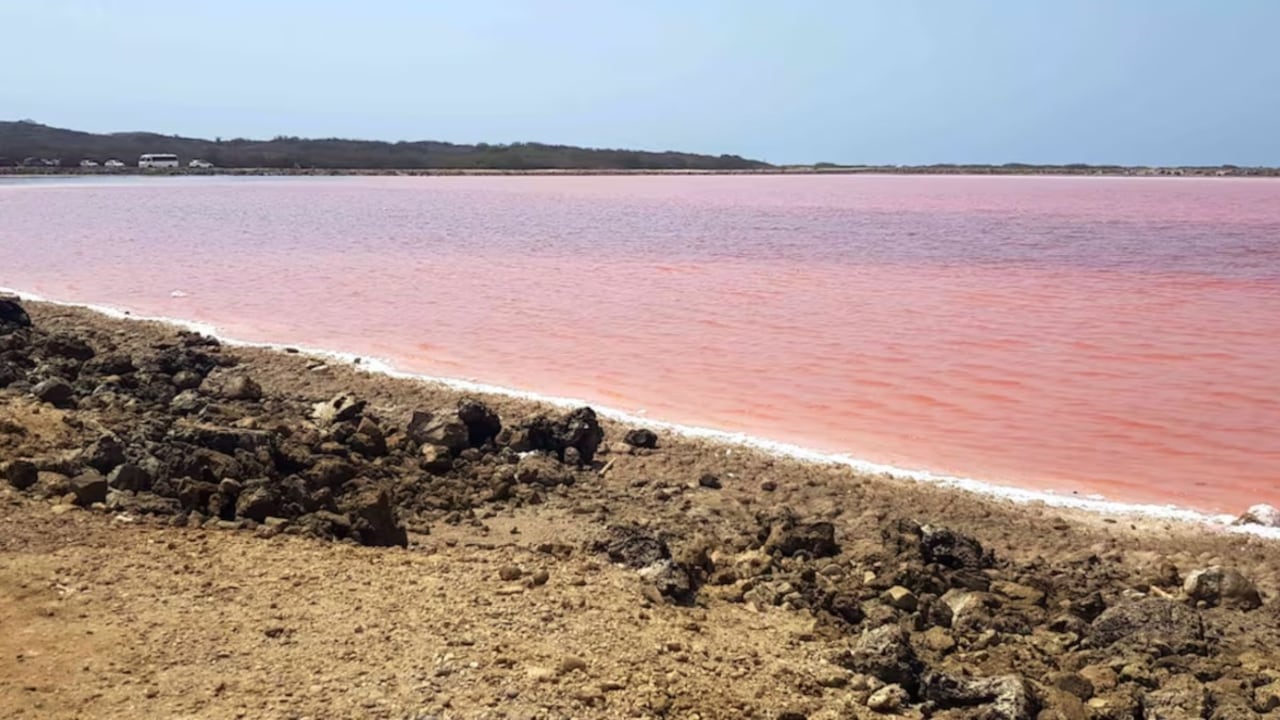 Las salinas de Galerazamba, un imperdible en este municipio de Bolívar.