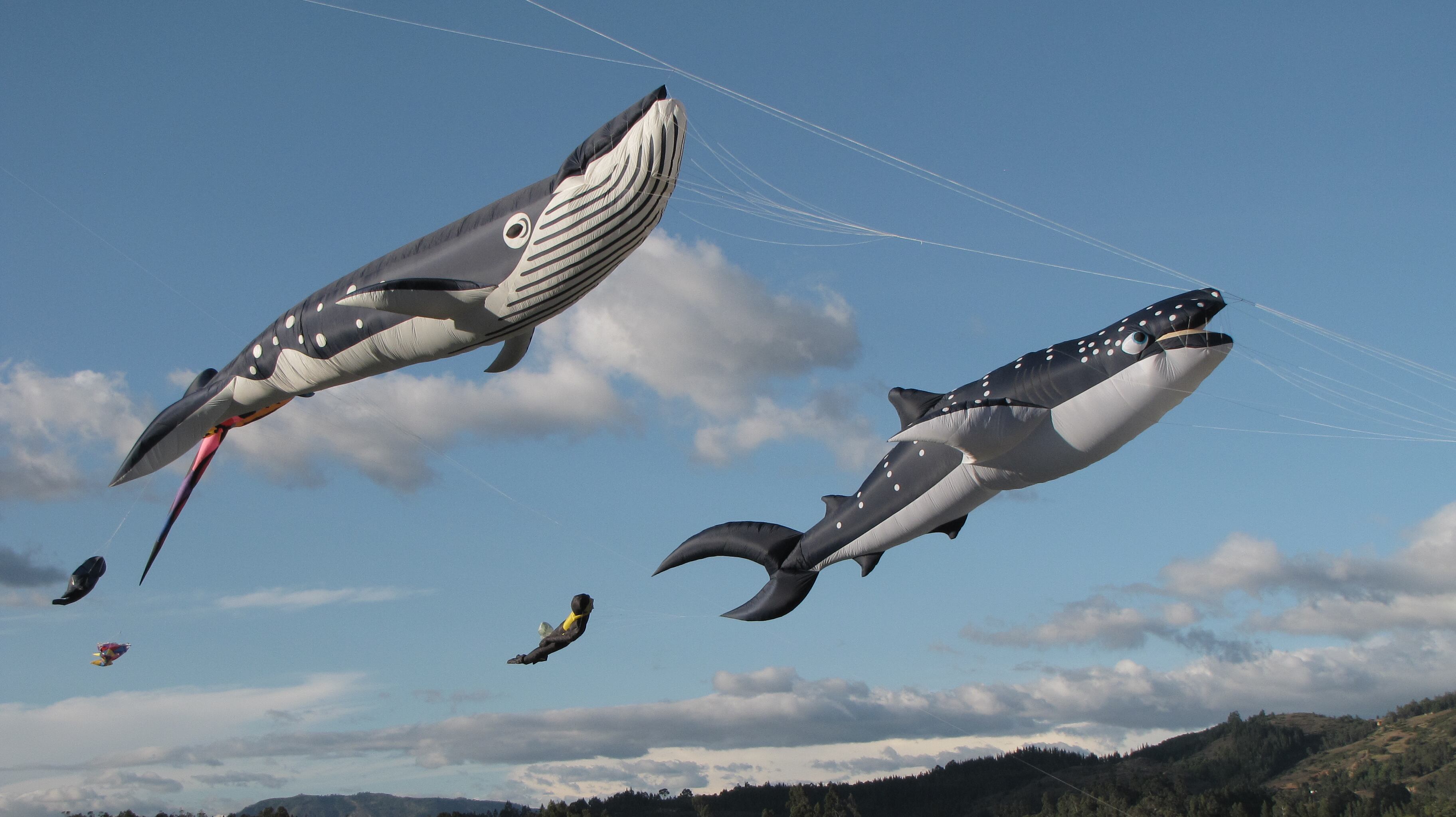 Las cometas gigantes pueden ser construidas con estructura, o sin ella (inflables). Las segundas son las más seguras y recomendadas a la hora de hacer vuelos con presencia de público.