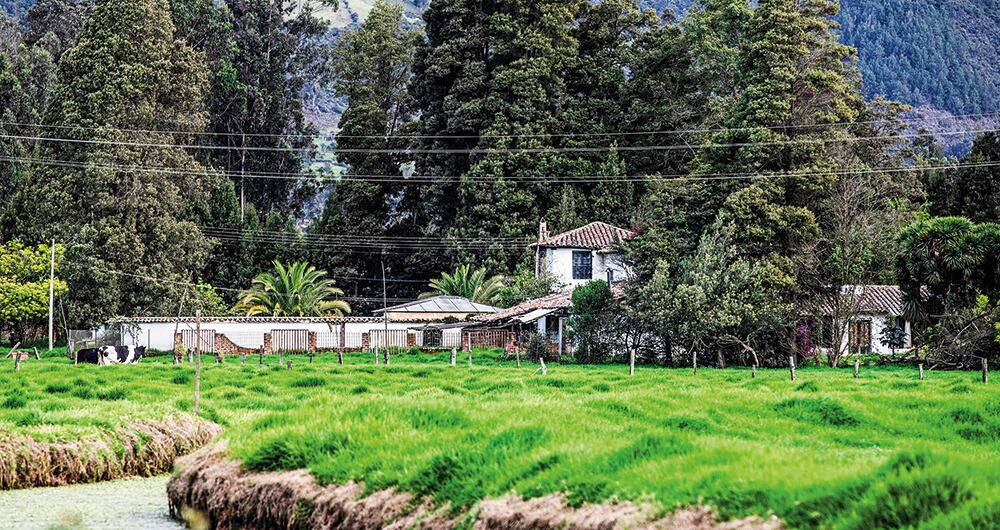 A la finca de Sesquilé (Cundinamarca) Camilo trasladó el cuerpo sin vida de Helena, para incinerarlo.