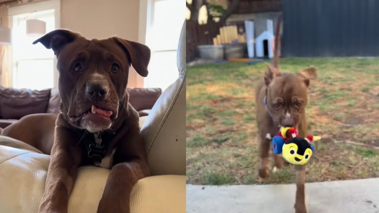 A Luna se le contempló practicar la eutanasia por su condición.