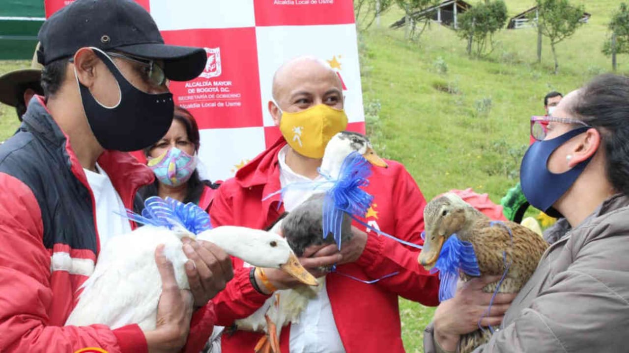 Este domingo se adelantó la primera jornada de adopción de patos y gansos en Usme. Veinte animales encontraron un nuevo hogar. Foto: IDRD.