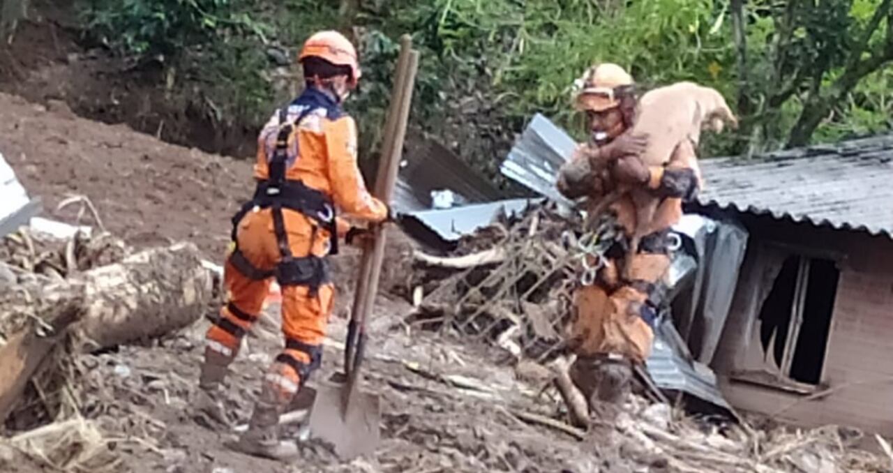 Más de 2.500 animales afectados por ola invernal en Dabeiba reciben atención en alimentación y salud