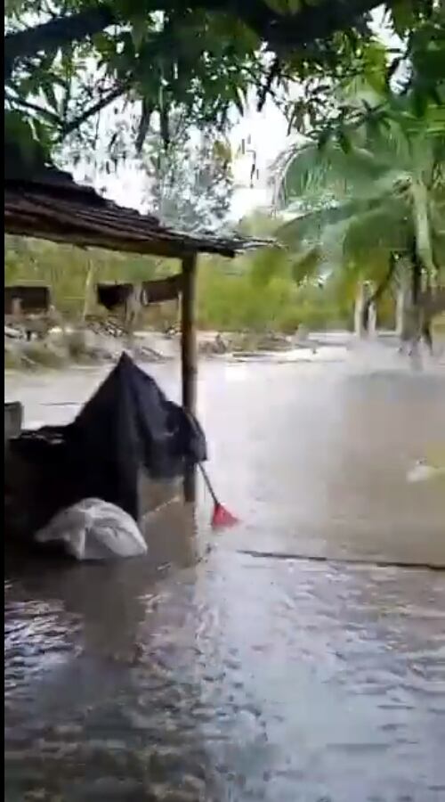 Twitter:@BomberoFarfan