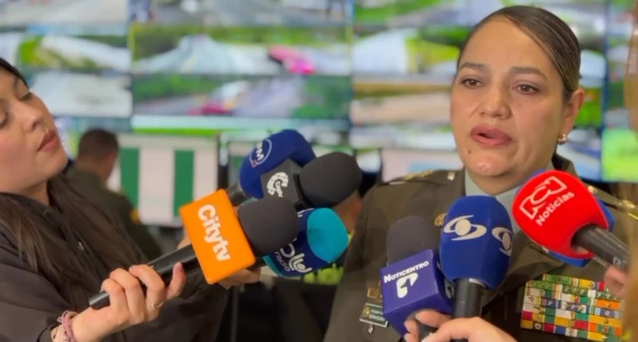 General Susana Blanco, directora de la Policía de Carreteras.
