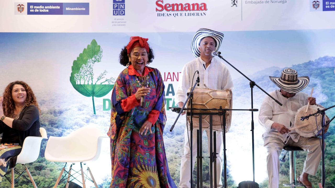 Totó la Momposina unió su legendaria voz para defender los bosques, el agua y los recursos naturales de Colombia. Es la nueva embajadora de la Gran Alianza Contra la Deforestación, iniciativa que pretende sensibilizar y movilizar al país para frenar la motosierra.