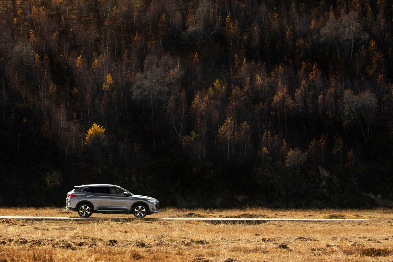 BYD cada vez más se posiciona como la marca que ofrece una verdadera solución en movilidad sostenible, con una oferta de vehículos con tecnologías únicas.