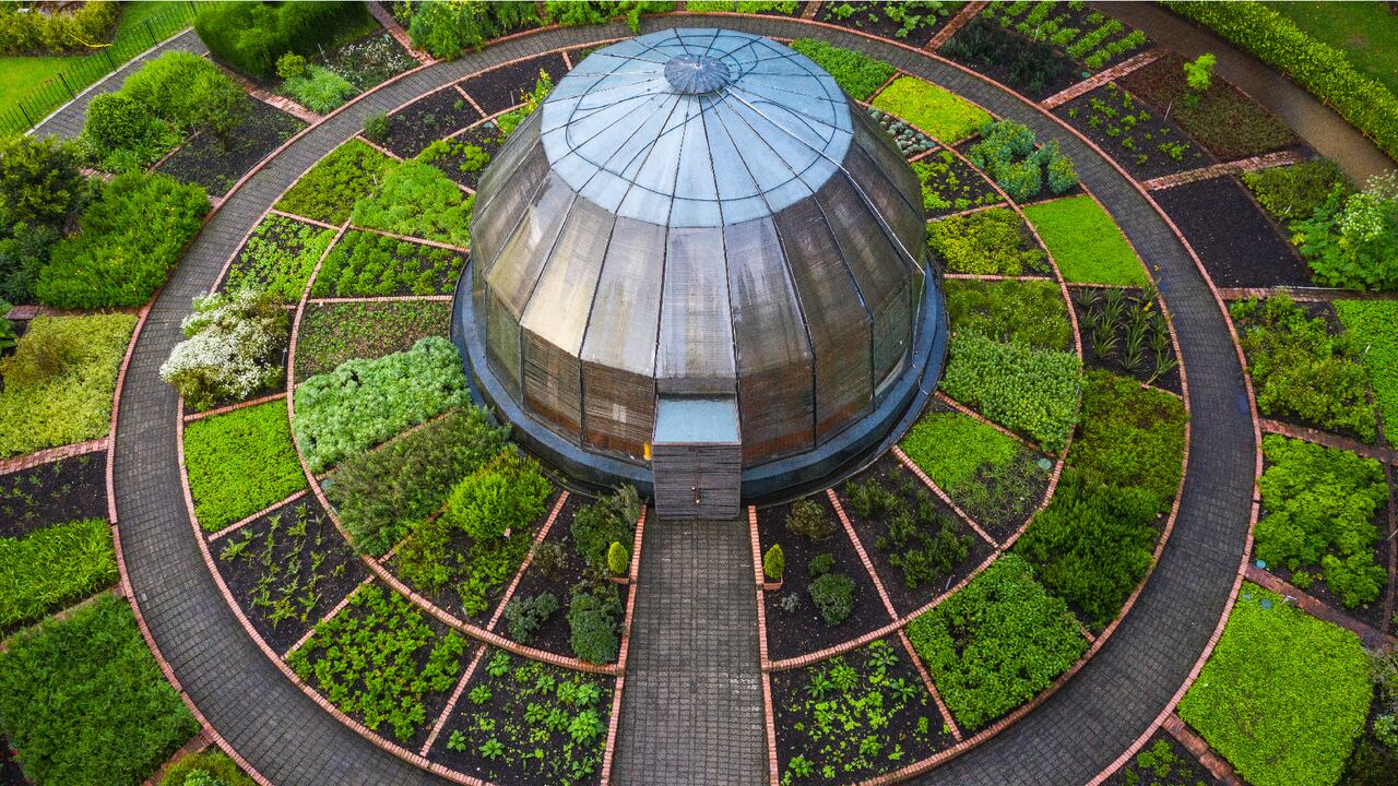 El Jardín Botánico se ha consolidado como un espacio y referente de investigación, y su herbario un lugar cada vez más concurrido. Pronto entrará en funcionamiento el nuevo Tropicario, en donde se podrán encontrar exposiciones itinerantes. “Este será un lugar icónico en el futuro, donde se desarrollarán ambientes que recrean los ecosistemas típicos de nuestro país como el bosque seco y las selvas de la amazonia y el Chocó, entre otros”, comenta Rodríguez.