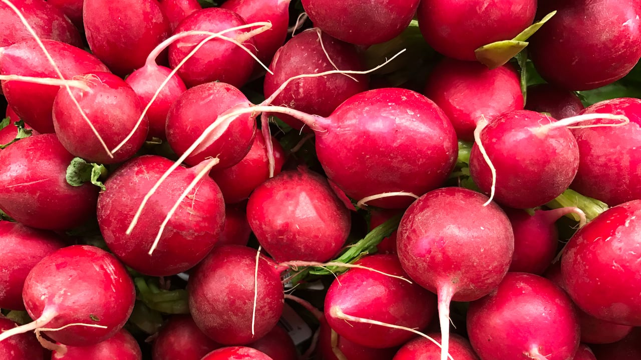 Los rábanos ofrecen beneficios medicinales.