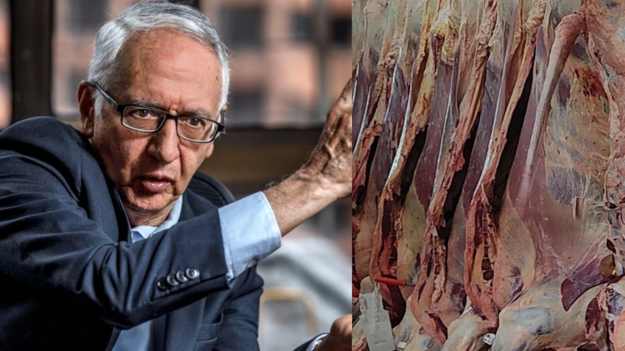 Ministro de Salud está preocupado por disminución de sacrificio de reses.