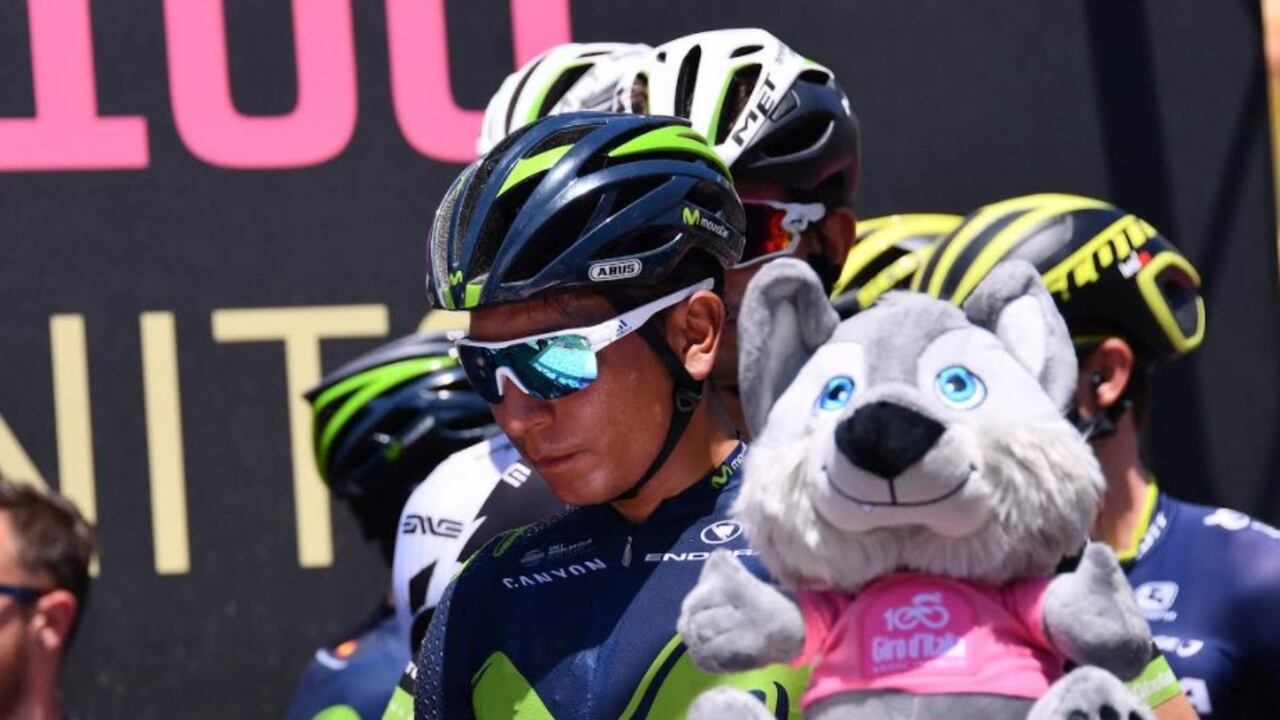 Desde 2015, Lupo Wolfie se ha convertido en todo un atractivo para la competencia