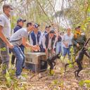 Defensoría pide a las autoridades ambientales protección de la fauna silvestre: “hay que permitir el desarrollo libre y digno de ejemplares”