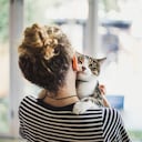 Gatos