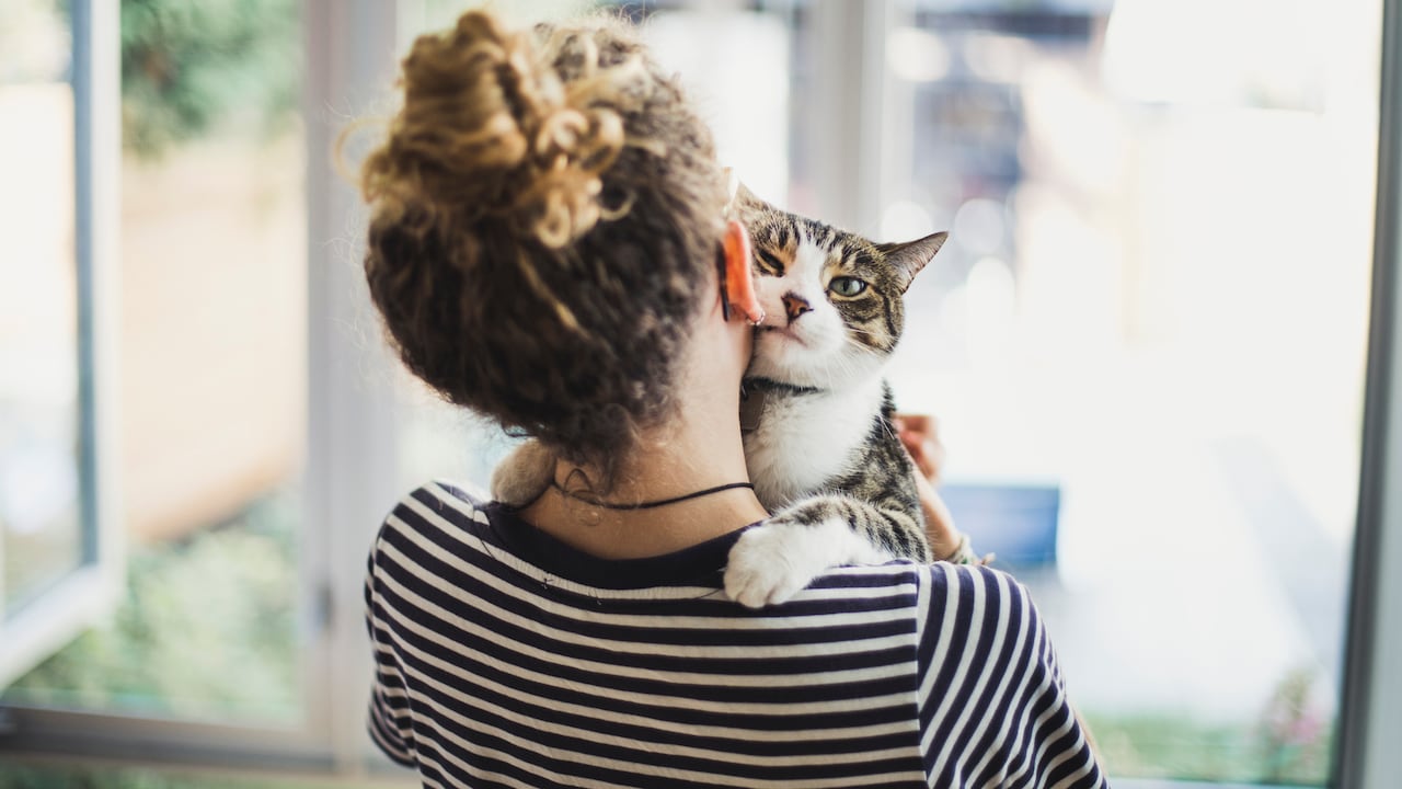 Los gatos suelen tener a una persona que prefieren y con la que comparten más tiempo.
