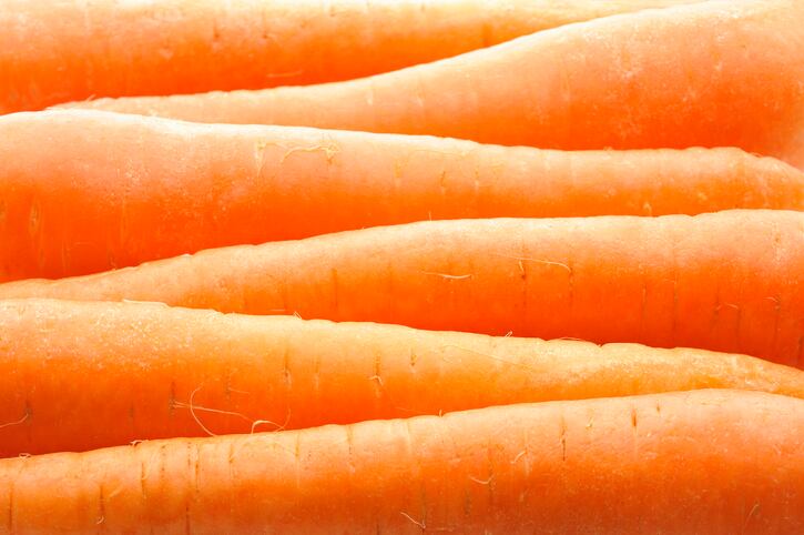 carrot