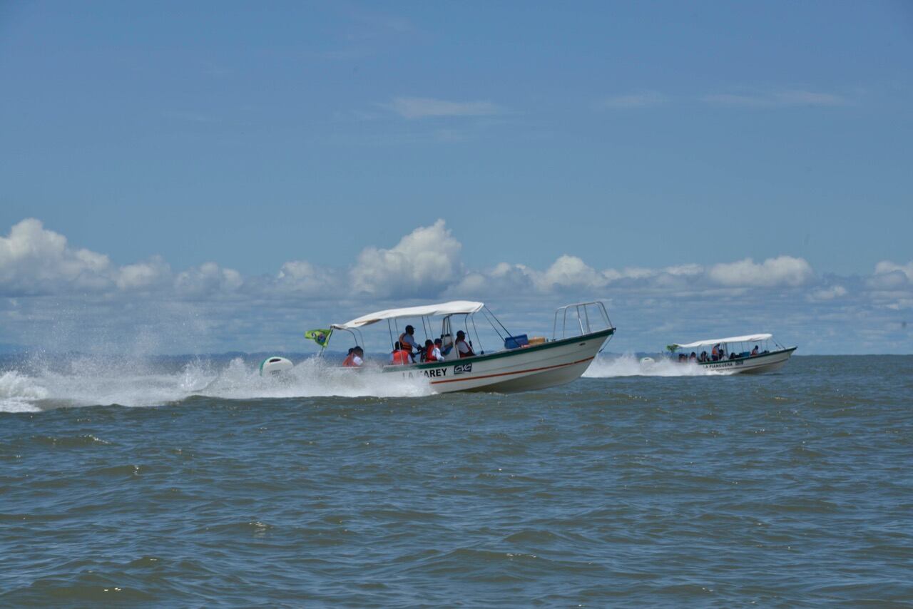Avistamiento de ballenas