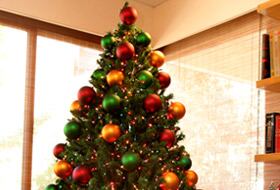 Muchos de los árboles de Navidad se decoran con esferas, figuras, guirnaldas y demás elementos. 