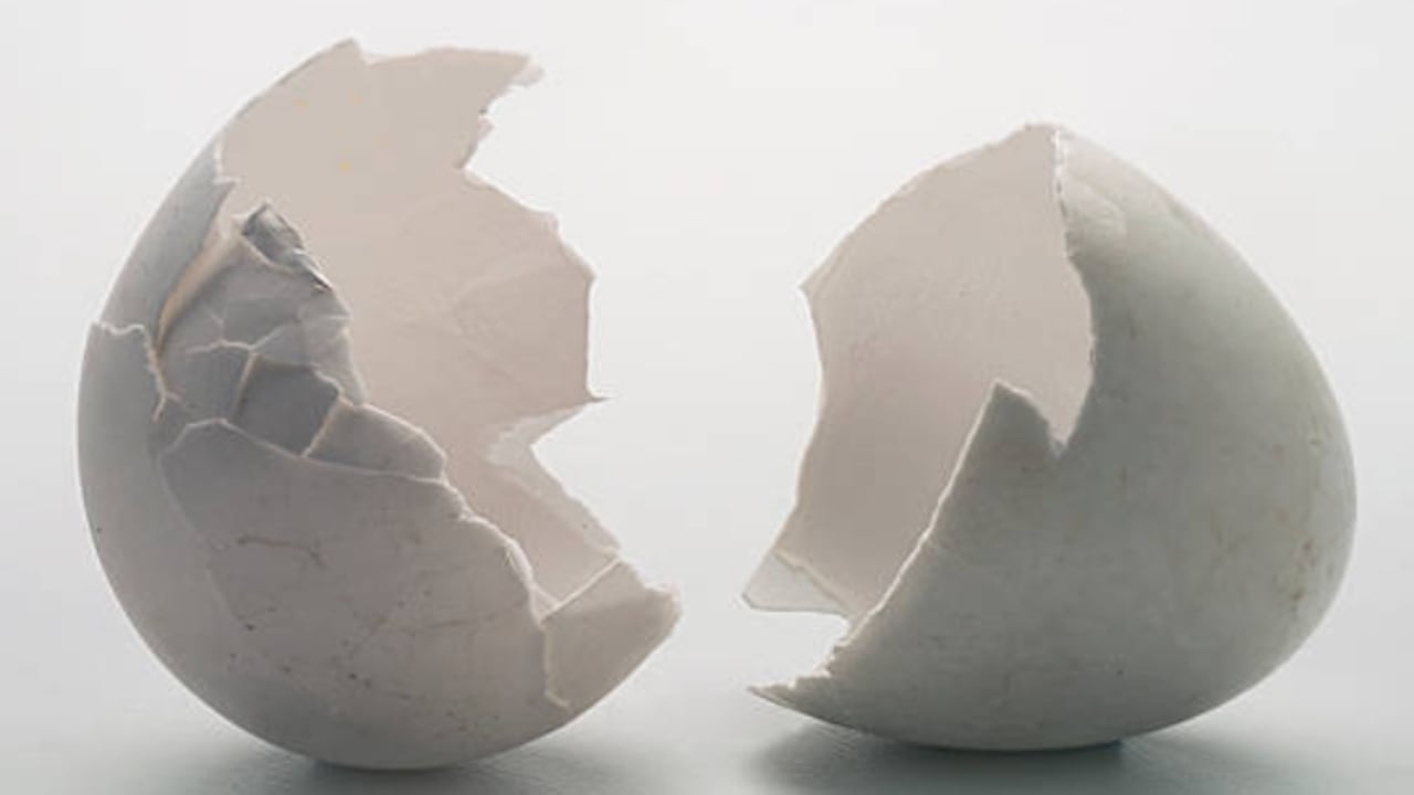 Clara de huevo, ¿cómo utilizarla para reducir las arrugas en el rostro?