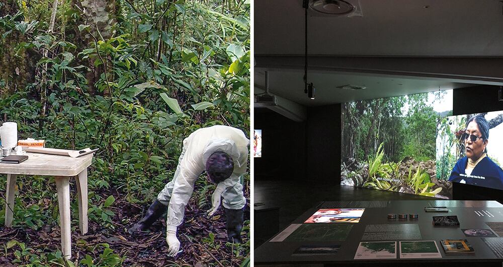 Actualmente, Biemann trabaja en la producción de videos sobre paisajes naturales colombianos. 