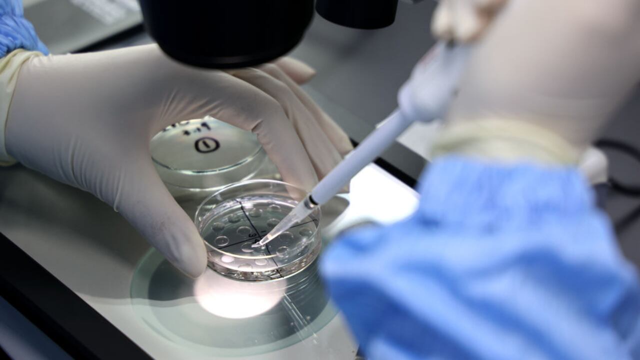 Un trabajador de laboratorio trabajando en una empresa de biotecnología en el condado de Yangxin, en la provincia de Shandong, en el este de China. Foto de CHU BAORUI / Feature China/Future Publishing vía Getty Images